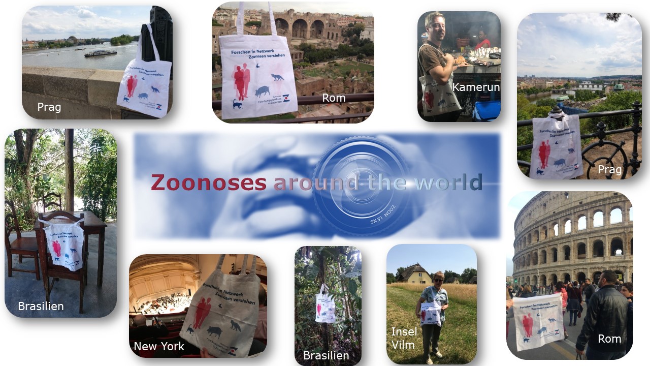 Fotowettbewerb 2020_Beispielbilder