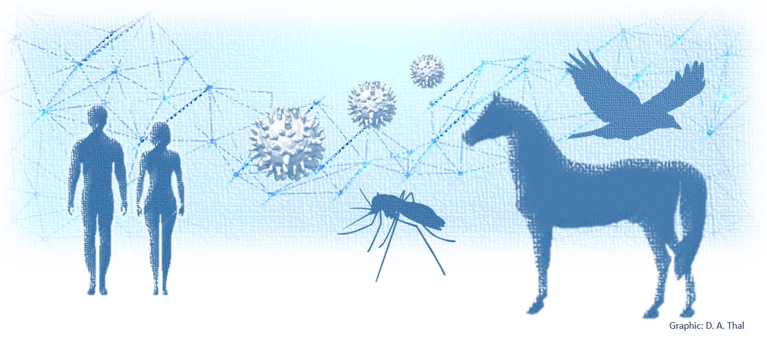 Experteninterview zur Ausbreitung des West-Nil-Virus in Deutschland - Teil  2 | Nationale Forschungsplattform für Zoonosen