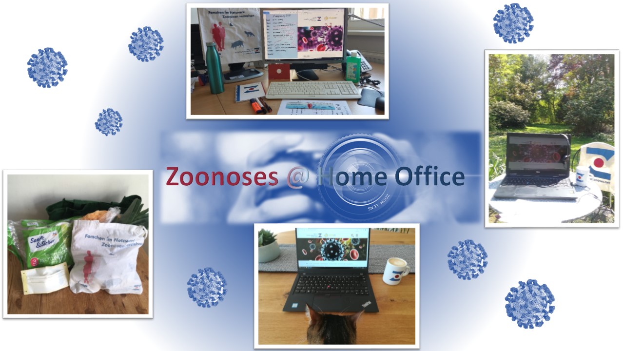 Zoonoses@Home Office