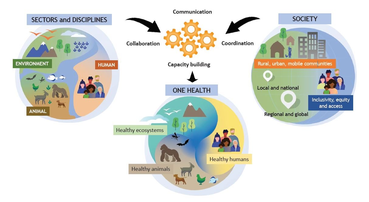 joint-tripartite-unep-one-health-graphic