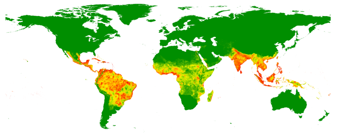 Karte Dengue Bhatt