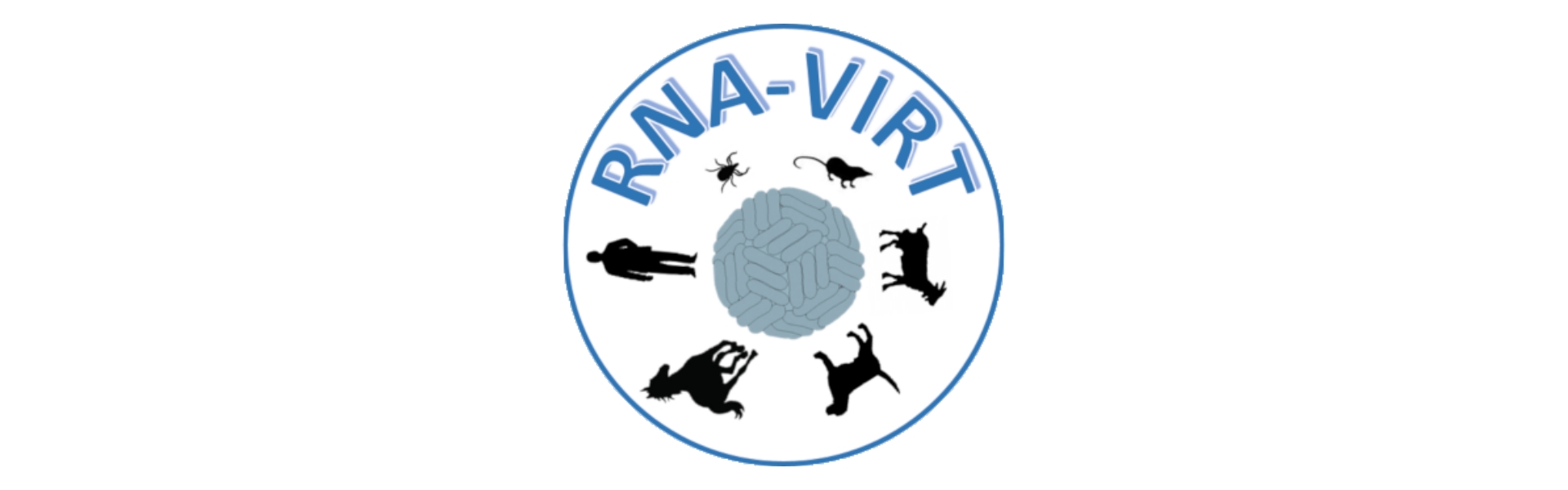 RNA-VIRT